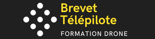 logo brevet télépilote